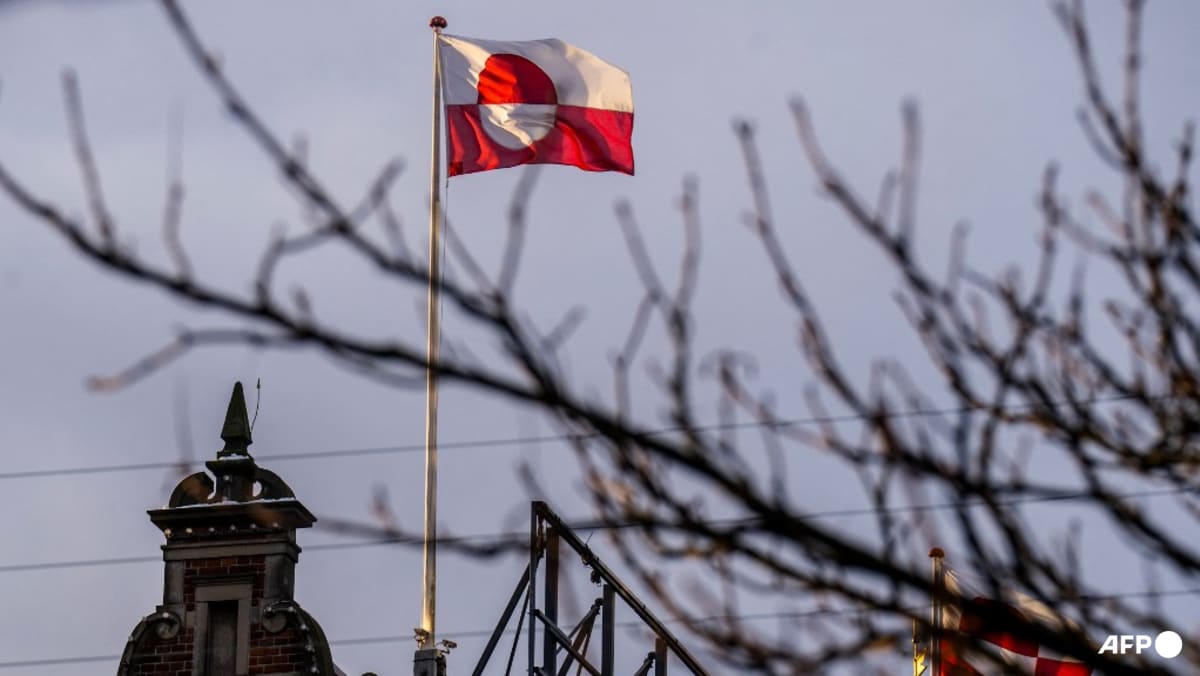 'We don't want to be Americans': Greenland's political parties