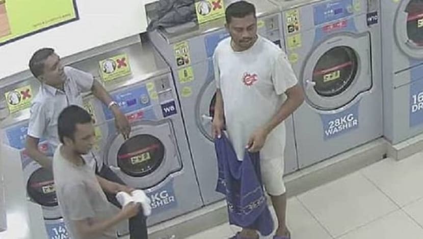 Kes bunuh kucing: 2 lelaki ditahan