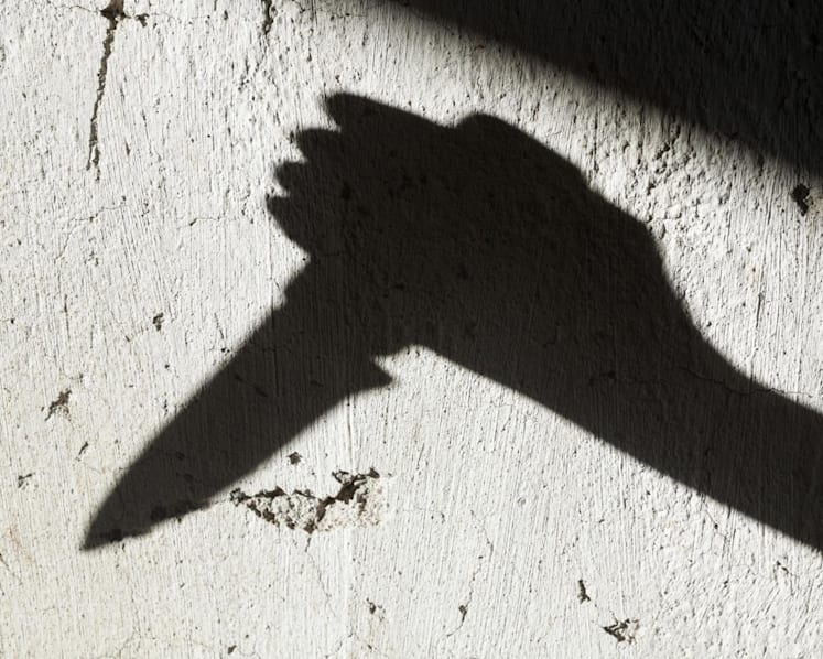 Maid jailed for stabbing to death 95-year-old employer who spat in her face
