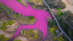 Related article image