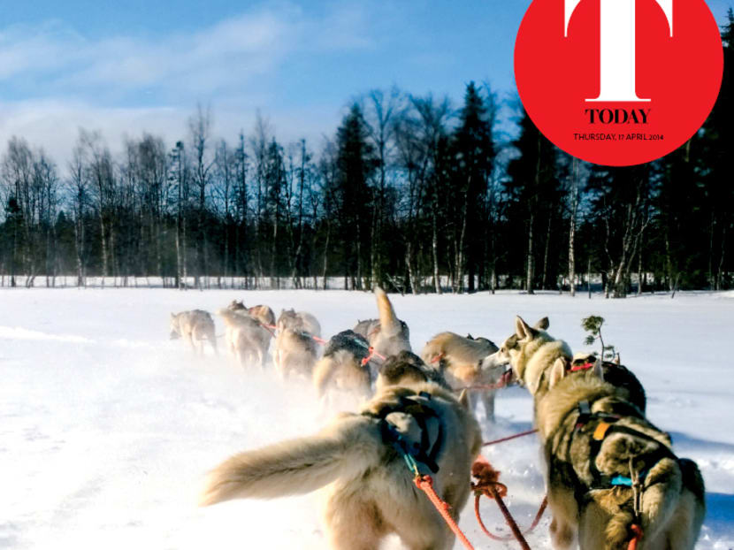 Lapland and the Northern Lights