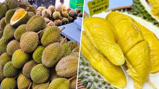 Is Singapore’s Durian Glut Over? Sellers Say Prices Have Started Rising Again