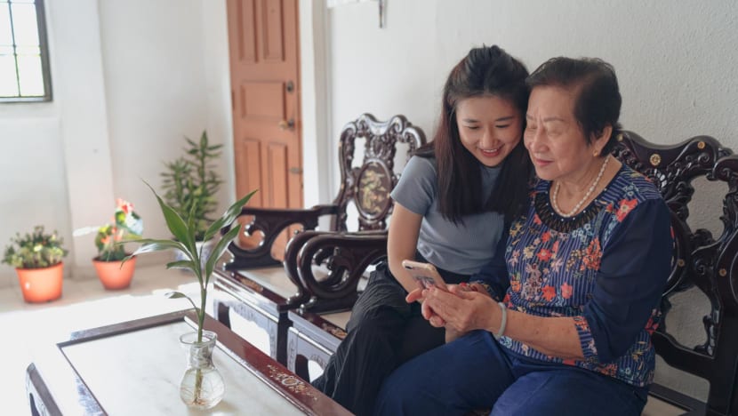 Singapore launches digital 'skills for life' framework to help people better perform daily tasks online Singapore launches digital 'skills for life' framework to help people better perform daily tasks online