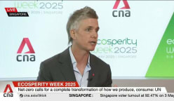 Green investment gaining momentum despite global setbacks: DBS CSO