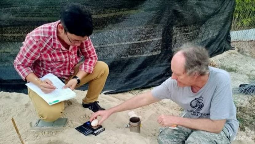 Related article image