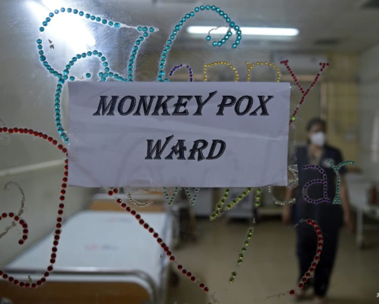 Commentary: Why doesn’t monkeypox have a new name yet?
