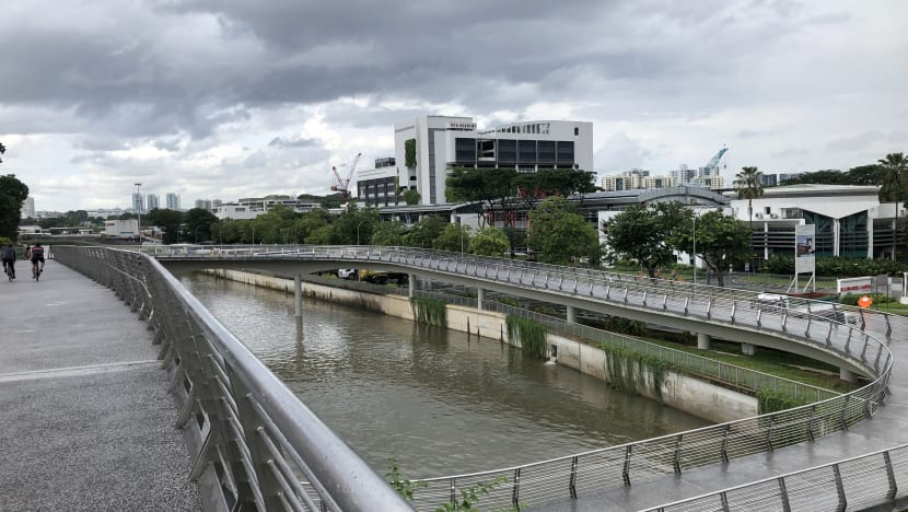 On Braddell bridge, cycling is allowed on one side but not the other. And some cyclists are confused