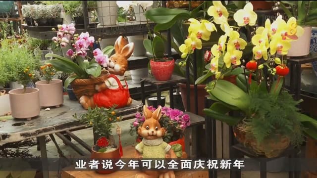 年花成本增加一成 一些花圃业者不起价自己承担