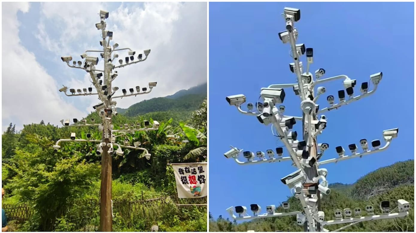 江西一根木杆挂84个监控摄像头 村干部：仅一个正常运作