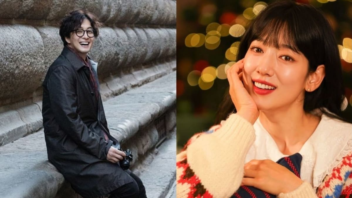 Winter Sonata star Bae Yong-joon, Park Shin-hye re