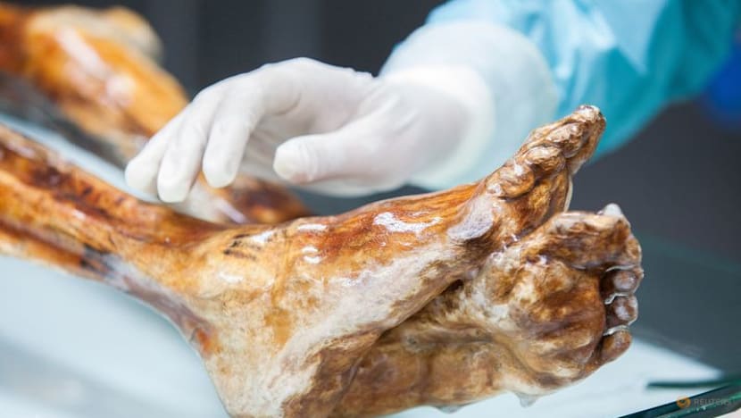 Scientists reveal Ötzi the Iceman's dynamic microbial world