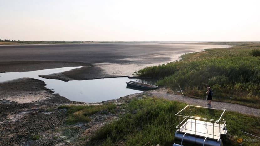 Heatwave dries up lake in Serbia, triggers fires in Balkan 'extreme weather event' Heatwave dries up lake in Serbia, triggers fires in Balkan 'extreme weather event'