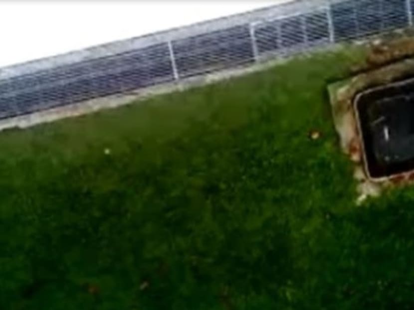 A screenshot from a video that the woman claimed depicted "a guy".