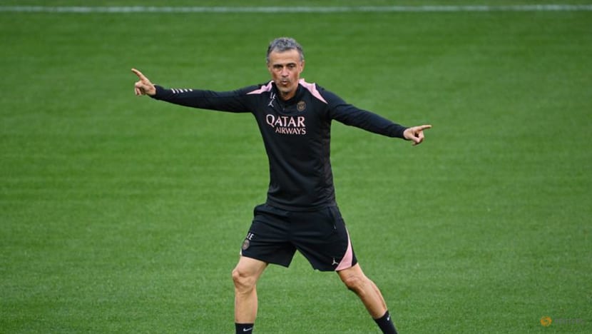 Experience and struggle have prepared PSG for Champions League glory, says Luis Enrique