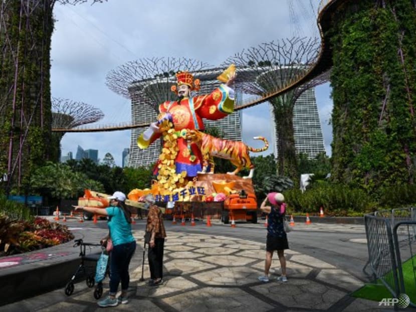 Stay home for Chinese New Year if you're feeling unwell, COVID-19 task force co-chairs advise
