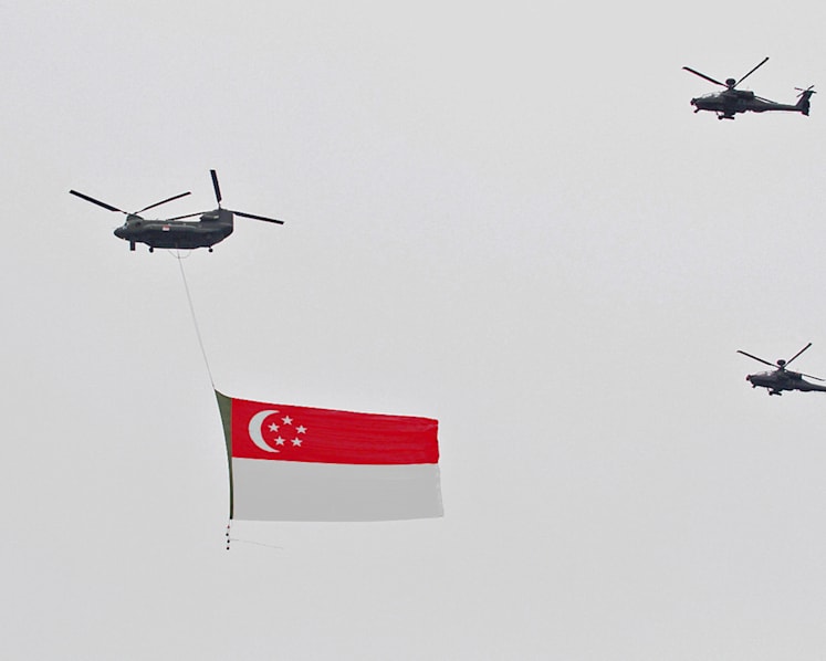 50 aircraft to dazzle NDP crowd with special formation