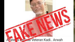 Related article image