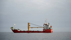 Related article image