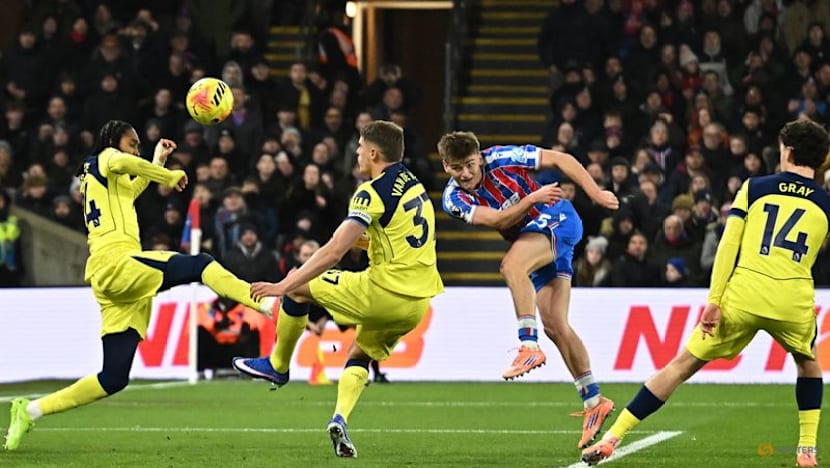Gray's first senior goal earns Spurs gritty 1-0 win at Palace