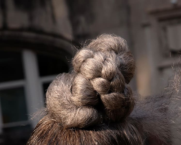 Can you prevent or reverse grey hair? Here's what scientists have untangled so far