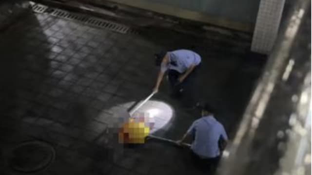 中国保安殴打校园爱猫致死 校方回应：它抓伤多人