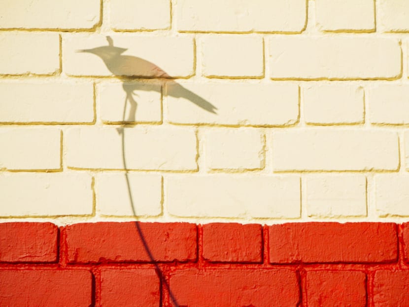 S’pore Fringe Fest 2016: Animal instincts unleashed for next year