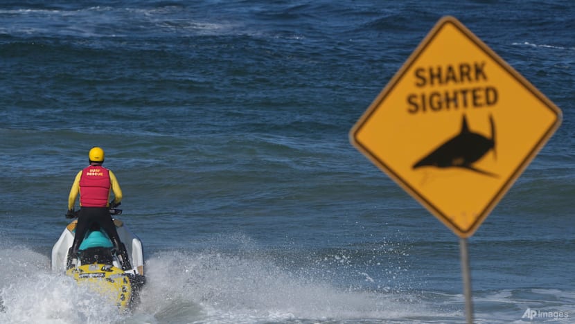 Popular Sydney beach deploys drones, helicopter after fatal shark attack Popular Sydney beach deploys drones, helicopter after fatal shark attack
