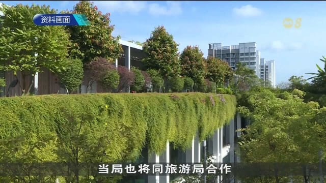 我国将在更多地区释放沃尔巴克雄性伊蚊