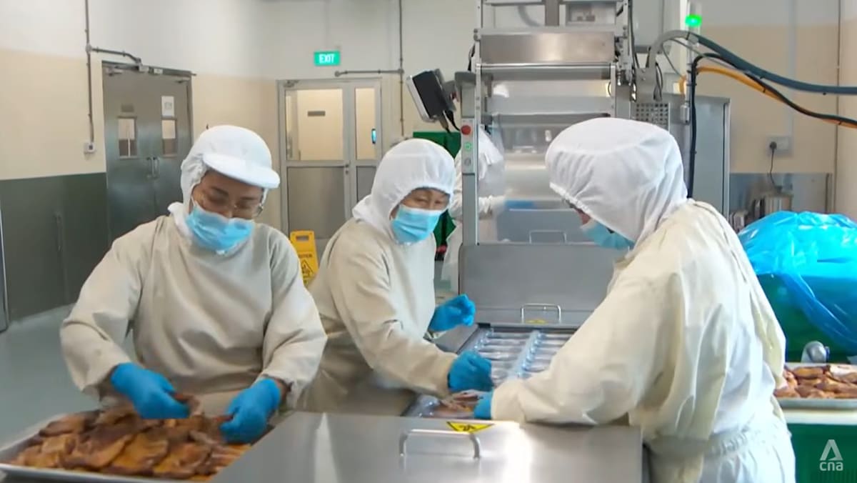 ‘Don’t be afraid to learn’: More seniors upskill, rejoin workforce as Singapore ages