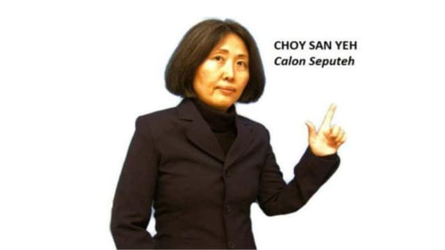 曾在狮城打工 马国“财神爷”解释为何化名打选战