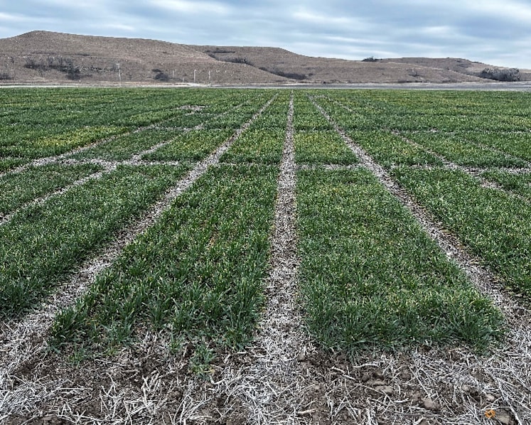 Syngenta files for Hong Kong IPO that could raise $5 billion, Bloomberg News reports