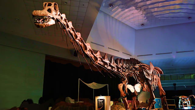 40m马氏巴塔哥巨龙就在新加坡科学中心！全新展览邀你与恐龙同行