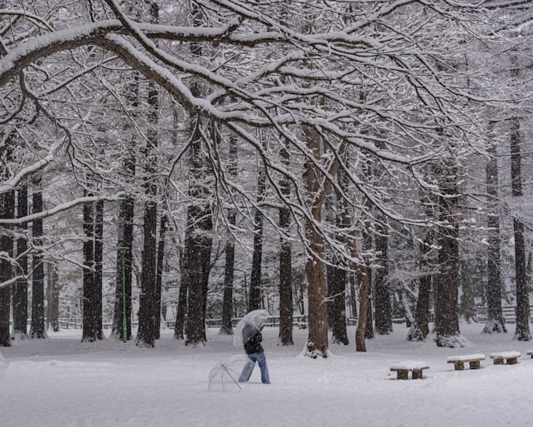 Sapporo travel guide: Where to eat, drink and explore in Japan’s northern city