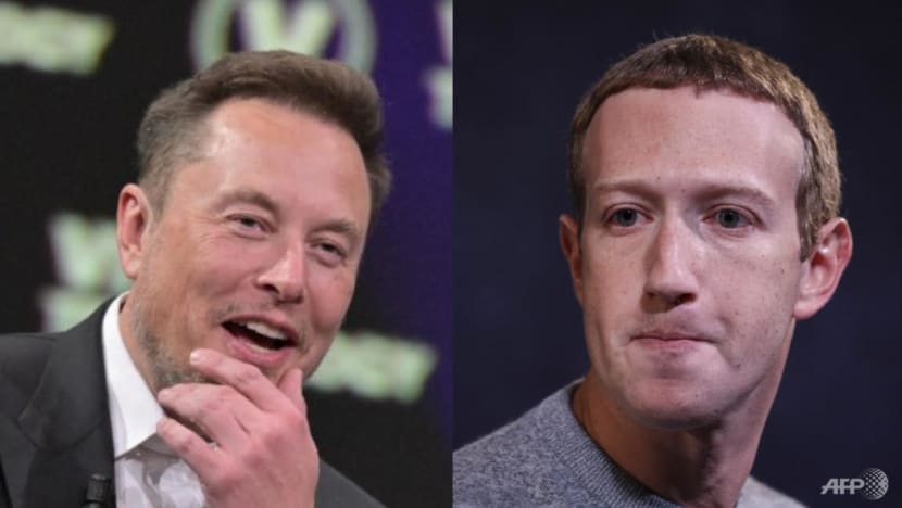 Commentary: Time for Elon Musk and Mark Zuckerberg to grow up Commentary: Time for Elon Musk and Mark Zuckerberg to grow up