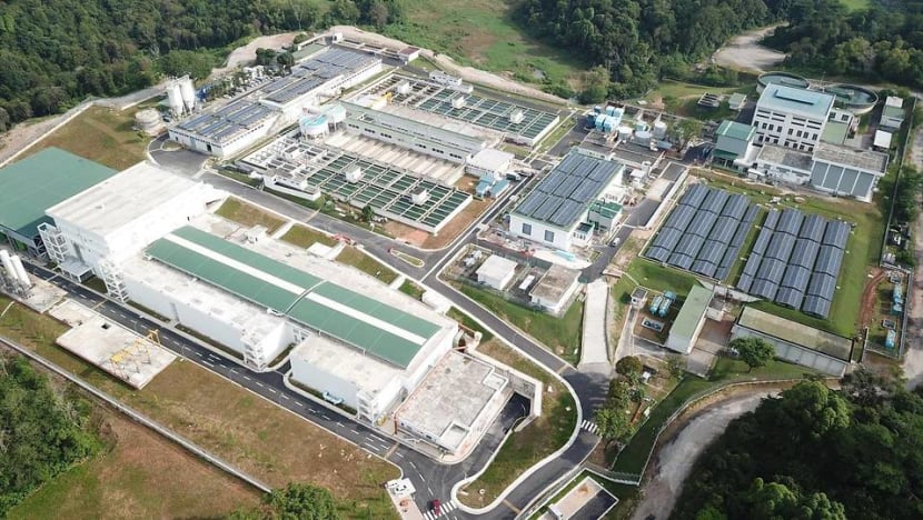 Two workers who inhaled toxic gas at PUB's Choa Chu Kang Waterworks remain in intensive care Two workers who inhaled toxic gas at PUB's Choa Chu Kang Waterworks remain in intensive care