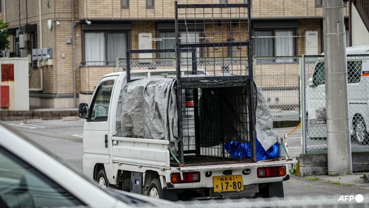 Japan city relieved as bear caught after roaming s