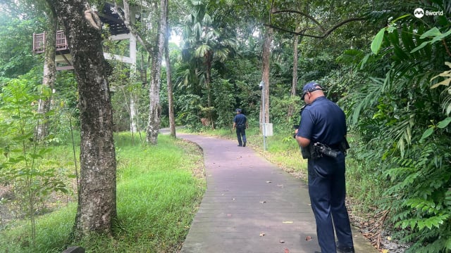 白沙公园出现持械男子 被警方开枪击中