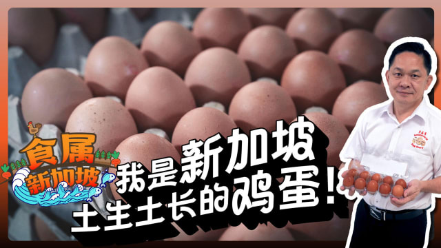 【食属新加坡】我是新加坡土生土长的鸡蛋！
