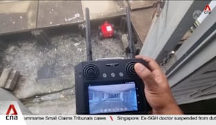 Pest control robots helping to keep mosquitoes, snakes at bay in Singapore