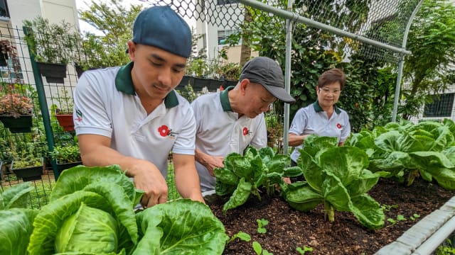 公园局推出培养与共享计划 庆祝锦簇社区计划推行20周年