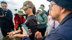 Related article image