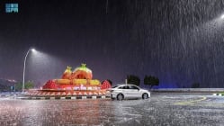 Related article image