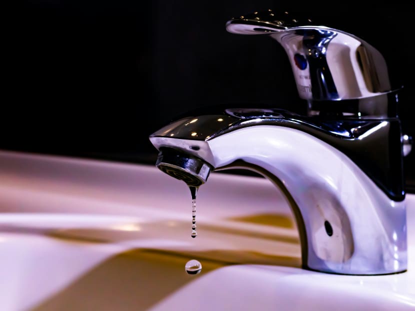 Explainer: What do water filtration devices do; are they necessary given the quality of Singapore’s tap water? Explainer: What do water filtration devices do; are they necessary given the quality of Singapore’s tap water?