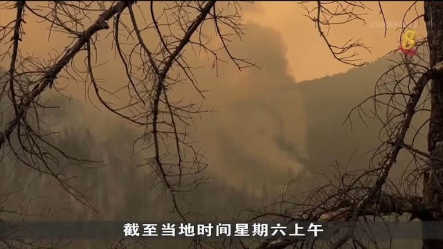 美国加州野火蔓延 至少100栋建筑与房屋烧毁