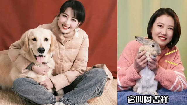 被告知周海媚去了很远的地方出差　爱犬眼里泛泪思念妈妈