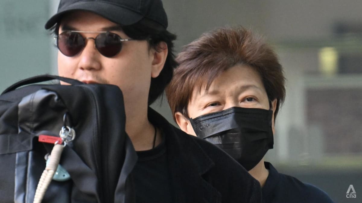 Hyflux trial: Firm did not give 'full picture' of Tuaspring project to investors, securities expert testifies