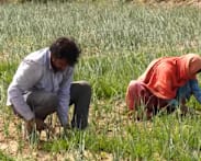 India faces risk of weaker monsoon, raising inflation and growth concerns