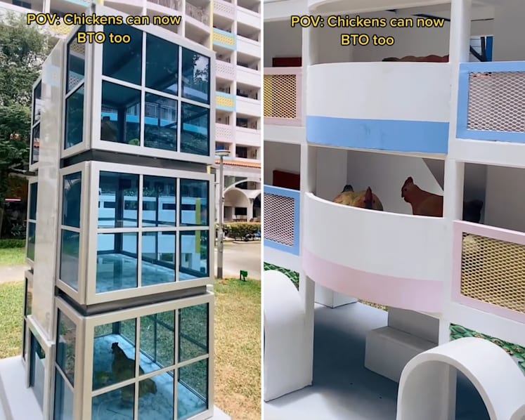 #trending: Netizens abuzz over 'BTO flats for chickens' at Tanjong Pagar housing estate
