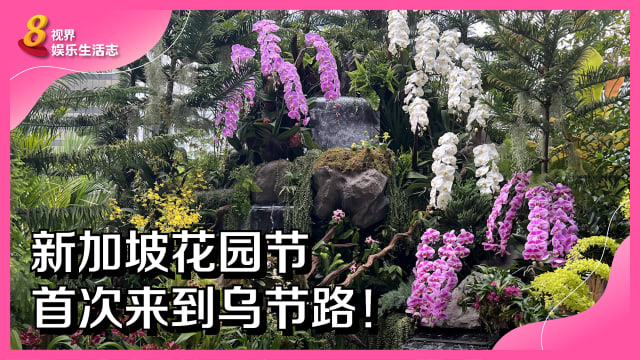 新加坡花园节　首次来到乌节路！