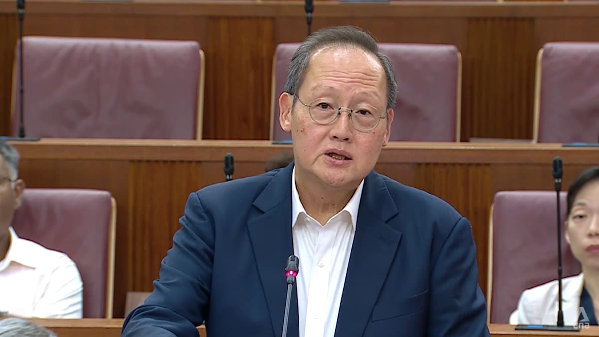 Tan See Leng says he would never have entered politics if money had been primary consideration